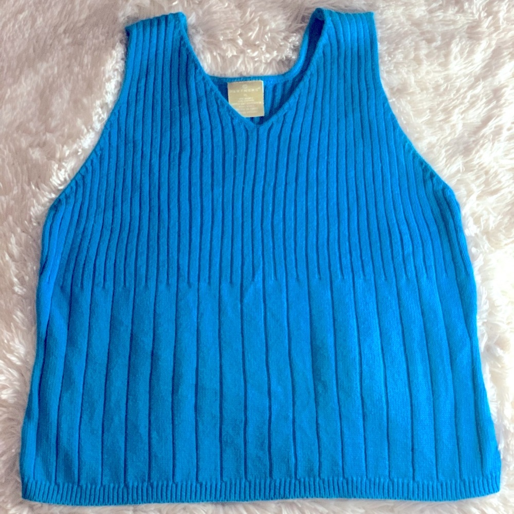 Blue ribbed tank top with a v neck. 
✦ Size x-large  ✦
✦ BRAND: Partners ✦